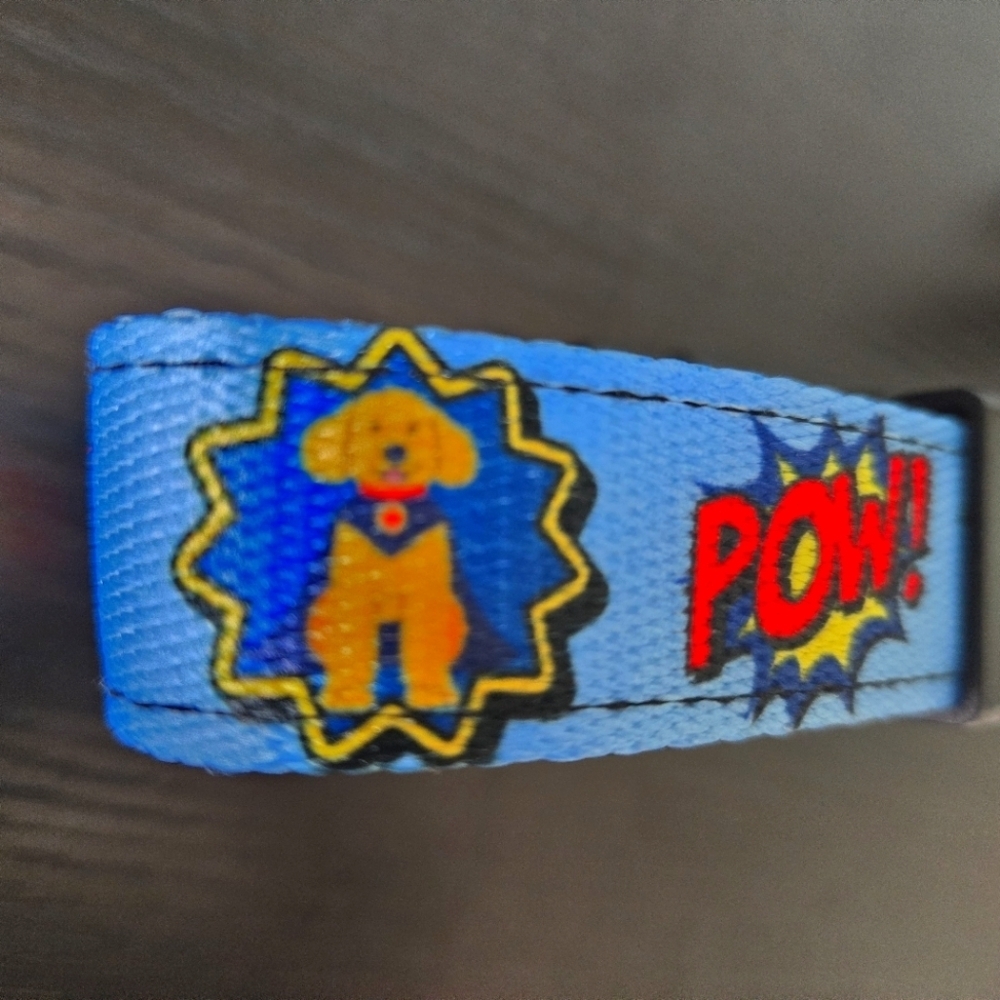 6 Foot Blue leash - Superhero Design